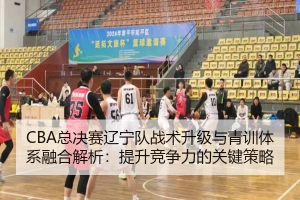 CBA总决赛辽宁队战术升级与青训体系融合解析：提升竞争力的关键策略