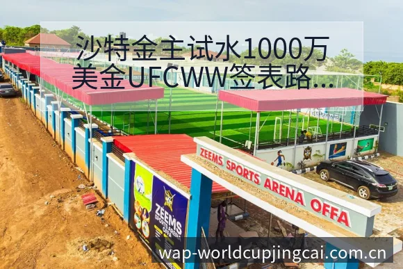 沙特金主试水1000万美金UFCWW签表路径与晋级前景项 - 世界杯竞猜平台