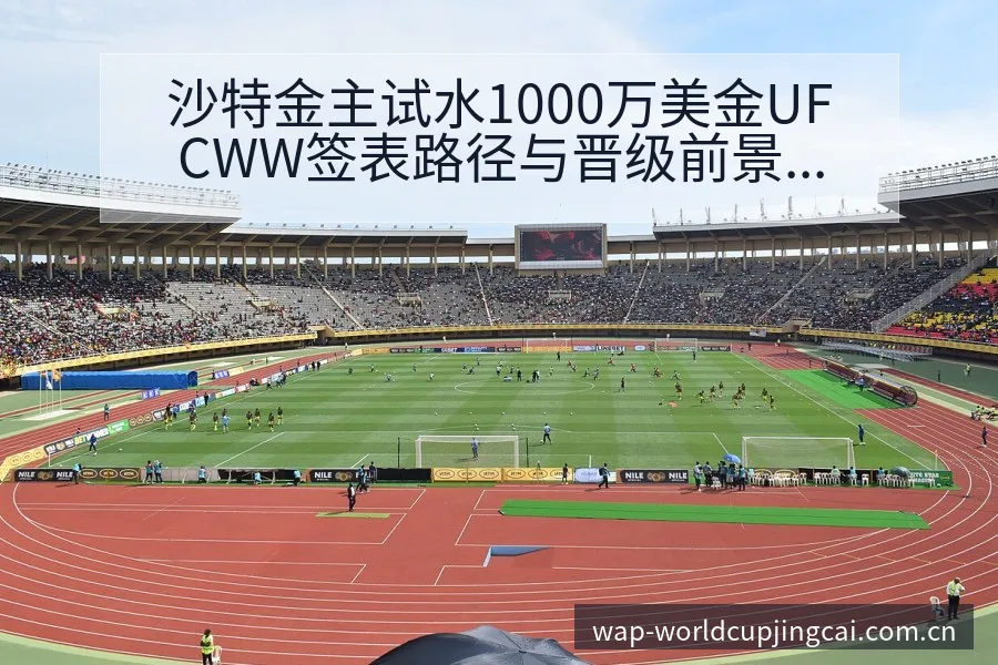 沙特金主试水1000万美金UFCWW签表路径与晋级前景项 - 世界杯竞猜平台